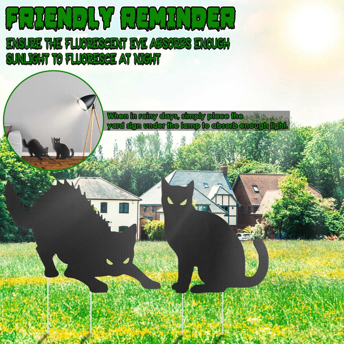 Glow In The Dark Halloween Yard Sign Set - 6 Pcs Skeleton & Cat