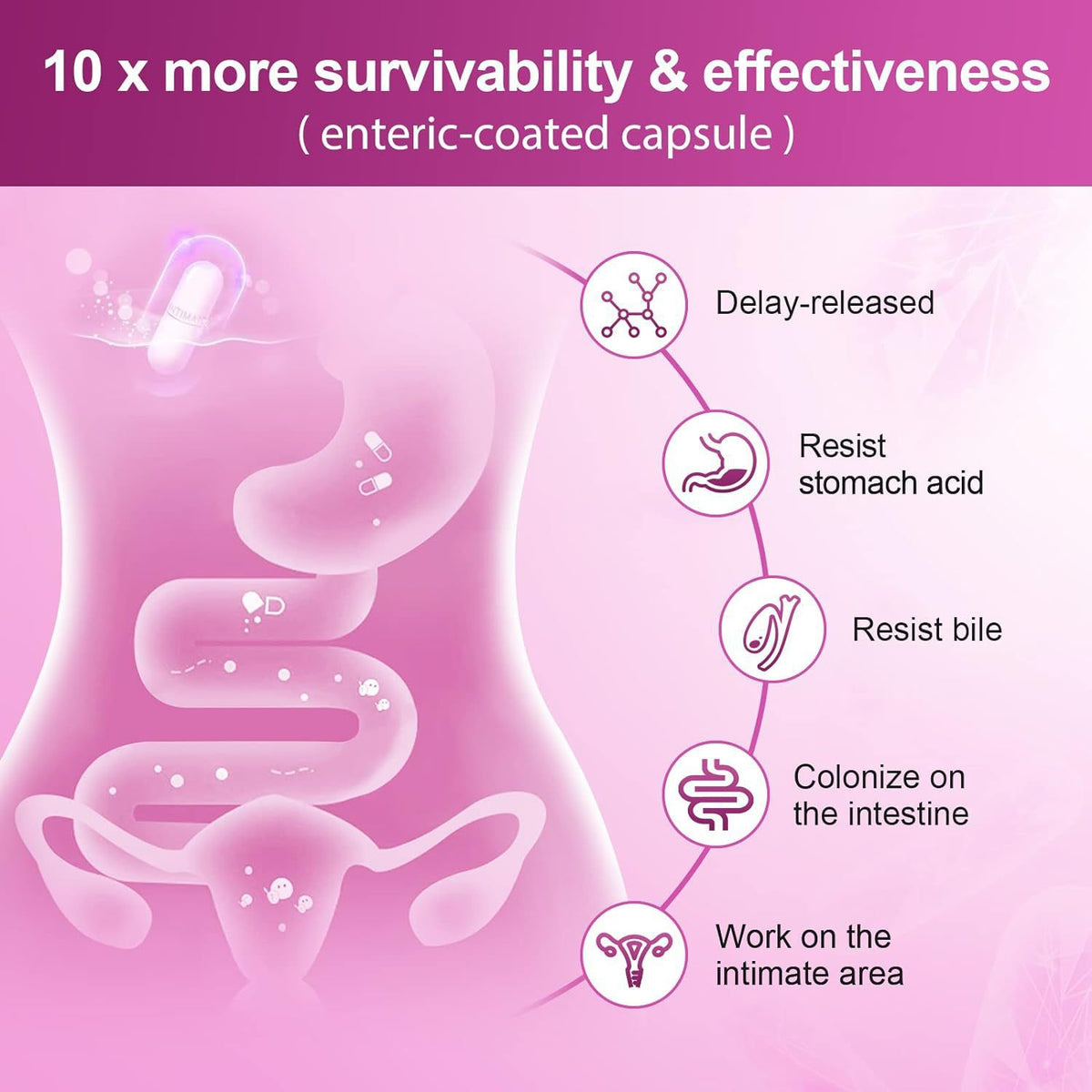 Probiotic Extract Capsules for Women - 90 Count