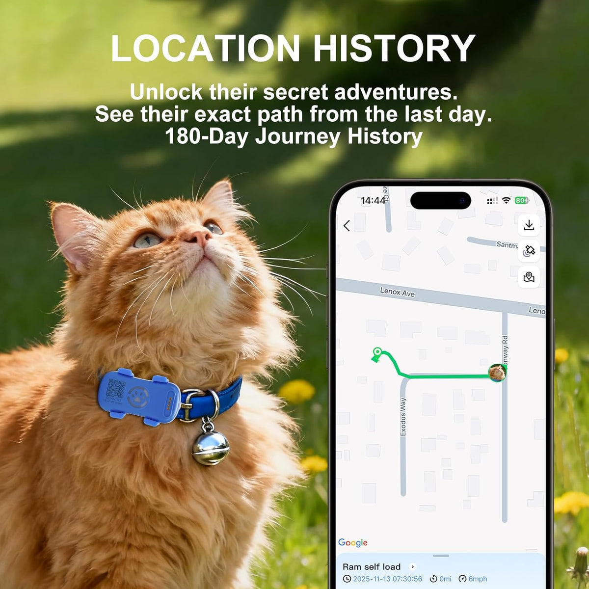 Dog GPS Tracker Real-Time Anti-Lost Collar with Geofence Light Sound Alarm