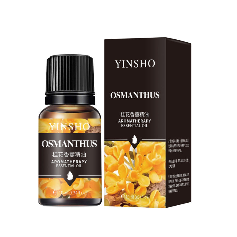 Water-Soluble Aromatherapy Oil for Sleep and Relaxation - Rose, Jasmine, Mint, White Tea & More