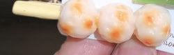 Mini Food Clip Set - Simulation Rice, Eggs, Corn, Melon Seeds, Cute Food Accessories