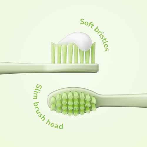 ORDO Squishmallows Toothbrush, Sonic Battery Toothbrushes for Kids, Soft Bristles, Extra Brush Head Inc, Gift for Kids Aged 4 Years and Up, Battery Included, Rutabaga