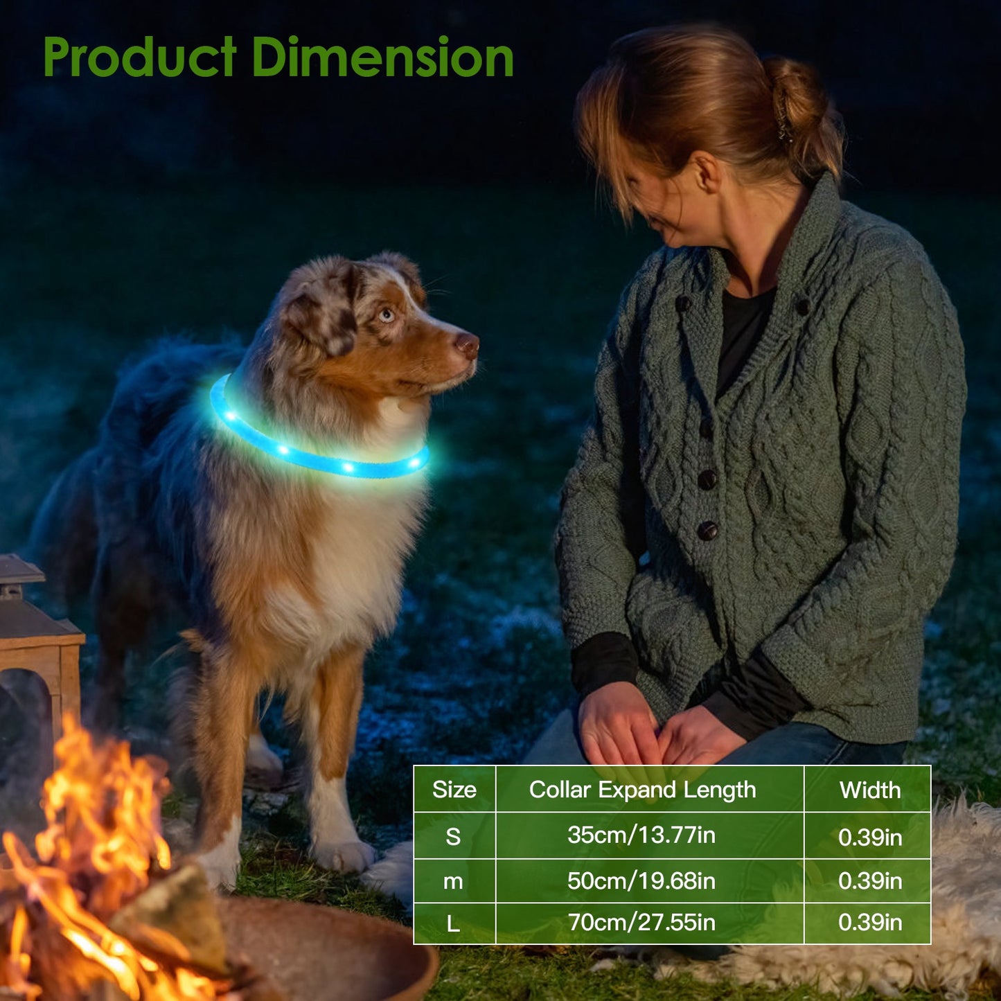 USB Rechargeable LED Dog Collar Multi-Color Safety Glow Collar for Night Walking