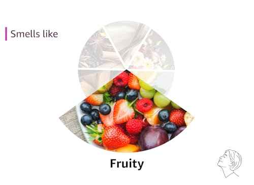 Better Shea Butter Set of Raw Shea Butter, Raw Mango Butter, Unrefined Cocoa Butter For Soap Making and DIY Body Butters, Lip Balms, Body Lotions - Each Butter is 16 oz Making 48 oz Total (3-Pack Set)