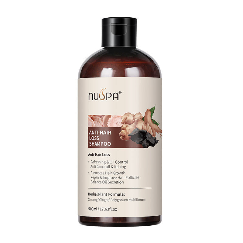 Ginger Shampoo with Dandruff Control & Oil – 500ML