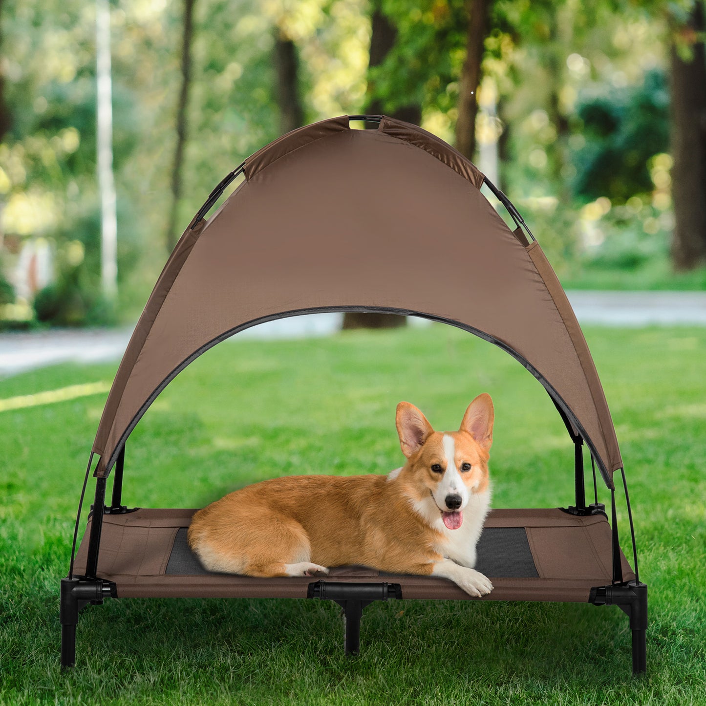 Portable Elevated Dog Bed with Canopy Shade - 36 Inch Support for Small Dogs