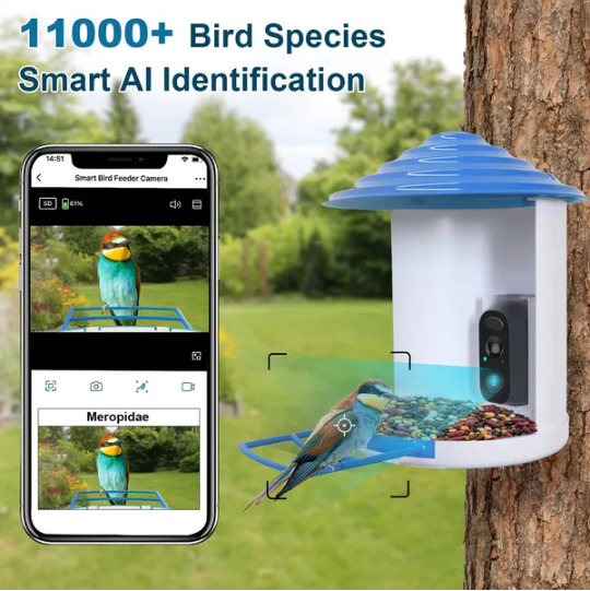 Solar Powered Bird Feeder Camera 1080P HD WiFi App Control Waterproof White