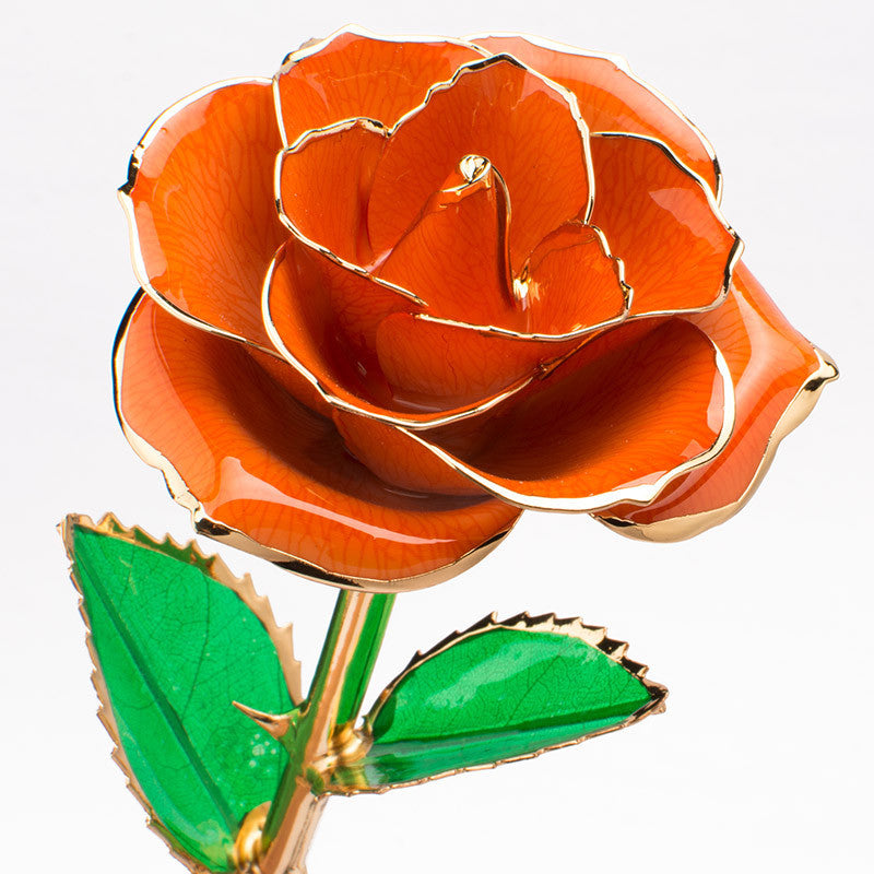 24K Gold-Plated Decorative Rose Flower Gift Box for Valentine's Day & Special Occasions