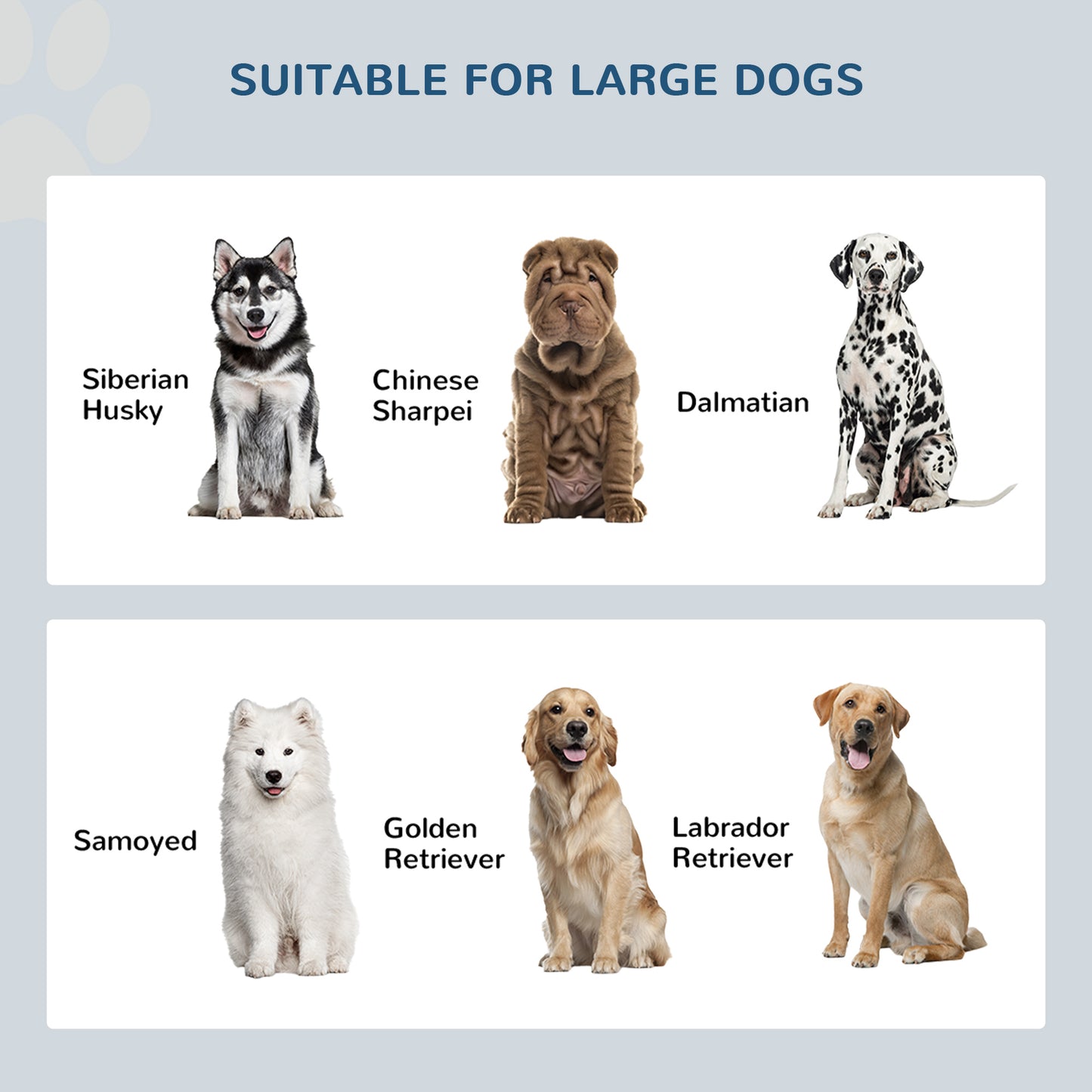 Elevated Dog Feeder with Storage Cabinet - Large 44L Capacity, Gray