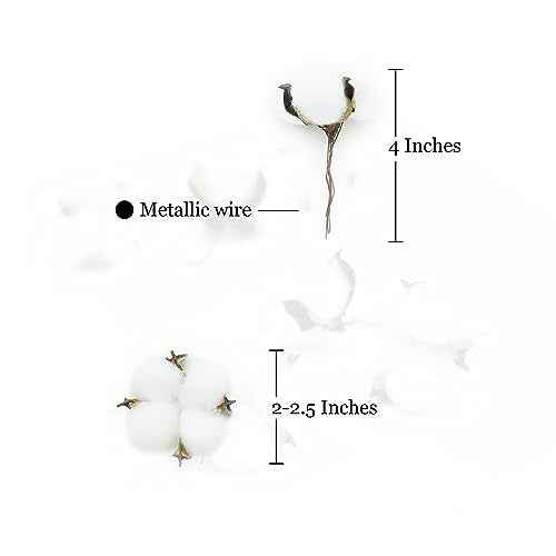 25 Pcs White Cotton Bolls Balls Decor, Dried Cotton Balls for Wreath Decorative, Home, Wedding Decor Balls