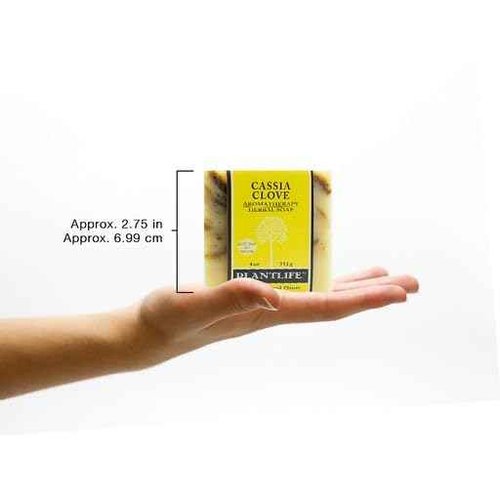 Plantlife Cassia Clove 6-pack Bar Soap - Moisturizing and Soothing Soap for Your Skin - Hand Crafted Using Plant-Based Ingredients - Made in California 4oz Bar