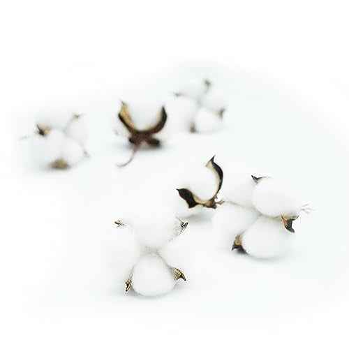 25 Pcs White Cotton Bolls Balls Decor, Dried Cotton Balls for Wreath Decorative, Home, Wedding Decor Balls