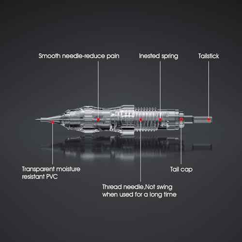 BIOMASER S20 Tattoo Gun Wireless Permanent Makeup Machine kit 10pcs Cartridges Needles for Eyebrow Lip Eyeliner Ombre Powder Brows Microshading Supplies