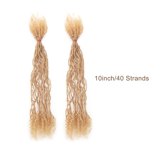 EV&ET Handmade Interlocking Sisterlocks Curly Tips 100% Real Human Hair Permanent Micro Locs Extensions Natural Looking Soft Dreadlocks Can Be Bleached and Dyed (#27 40pieces, 10inch 0.2cm)