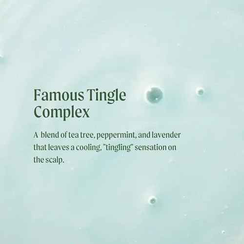 Tea Tree Special Shampoo, Deep Cleans, Refreshes Scalp, For All Hair Types, Especially Oily Hair