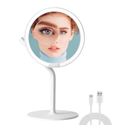 AMIRO 8'' LED Makeup Mirror, 5-Level Brightness/Touch Screen Control/Memory Function/180¡Æ Rotation/Detachable Small 5X Magnification Mirror