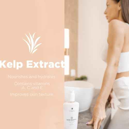 Rose Quartz Body Lotion with CoQ10, Kelp Extract and Hydrating Antioxidants, 8.5 fl. oz.