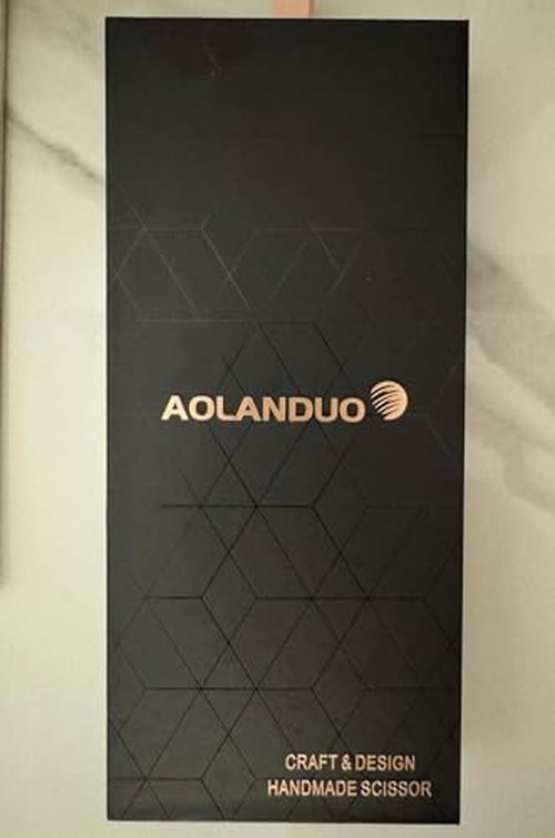 AOLANDUO Professional Shears for Hair Cutting, VG10 Steel Scissors to Cut Hair Professional, Precision Barber & Hair Stylist Shears, Ergonomic, 1 Count, 6.0 Inch