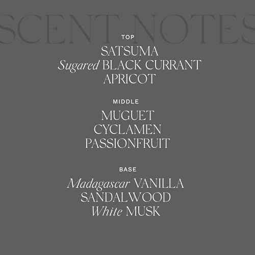 Antica Farmacista Body Moisturizer - Scented Moisturizing Lotion with Aloe Vera, Green Tea & Sweet Almond Oil - Luxury Gift for Any Occasion - Prosecco, 10 fl oz