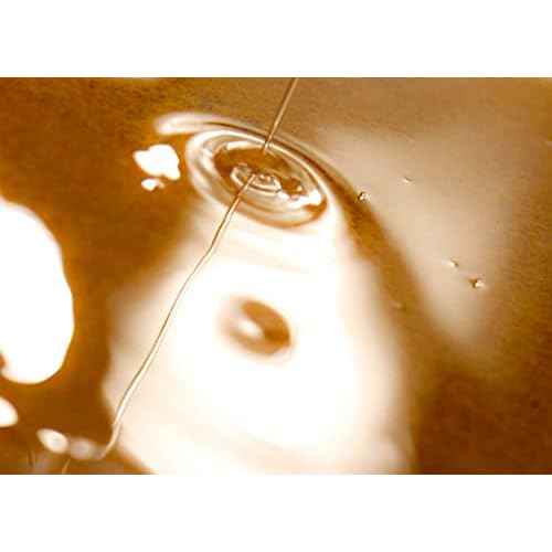 FINN & CO. Black Sand Bath & Body Oil - Lightweight & Moisturizing Formula with Jojoba & Apricot Oils - Fast Absorbing, Paraben Free, Cruelty Free - Beach Inspired Fragrance | 8 oz