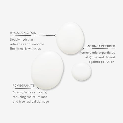 Evolve Organic Beauty - Deep Clean Micellar Water | Refresh, Hydrate, Soothe | Moringa Peptide, Hyaluronic Acid | Small-Batch, Vegan Clean Beauty (6.4 fl oz | 190 mL) Package May Vary