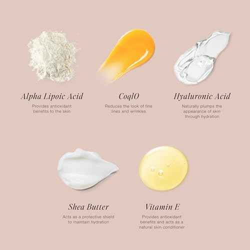 Jouer Skin Barrier Cream - Skin Barrier Repair Moisturizer - Hydrating Hyaluronic Acid DD Cream - Wrinkle Cream - Anti Aging Night Face Cream with Alpha Lipoic Acid and Coq10-2 oz