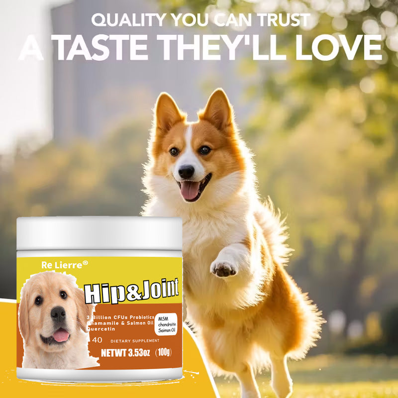 Dog Hip & Joint Supplement - 40 Servings with MSM, Chondroitin & Salmon Oil