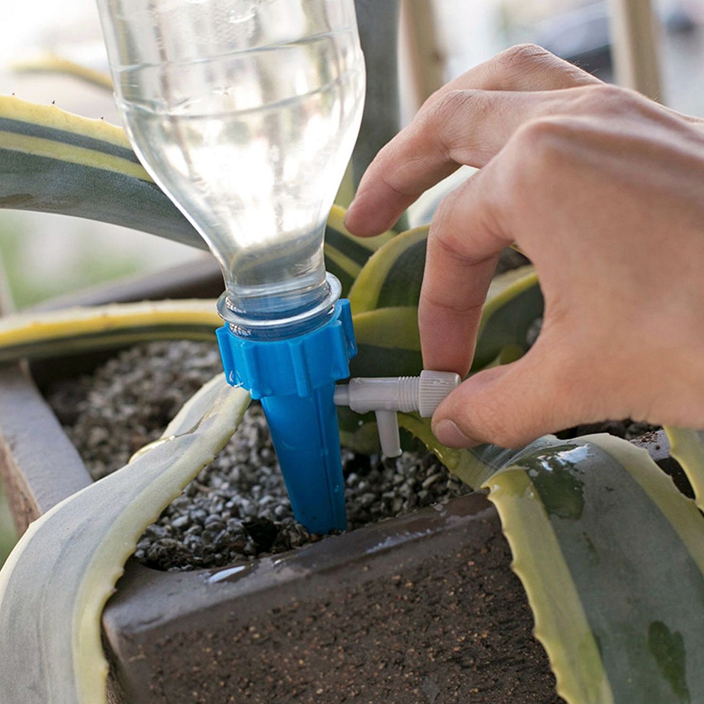Self Watering Plant Spikes Set - Automatic Drip Irrigation for Indoor & Outdoor Plants