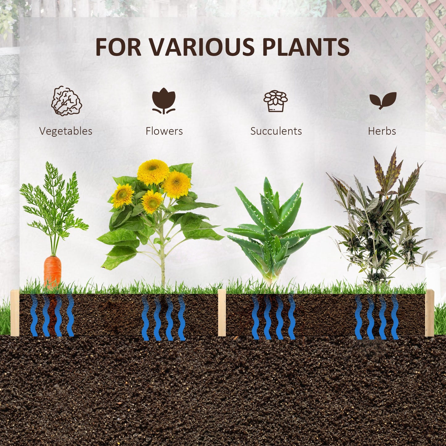 Screwless Hexagon Raised Garden Bed Planter Box for Herbs & Vegetables - Natural Wood Finish