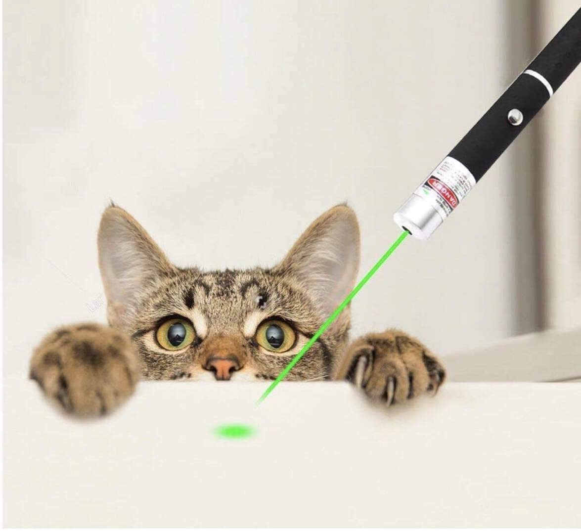 Green Laser Pointer Pen Light - High Power 532nm Laser Torch for Presentation & Outdoor Use