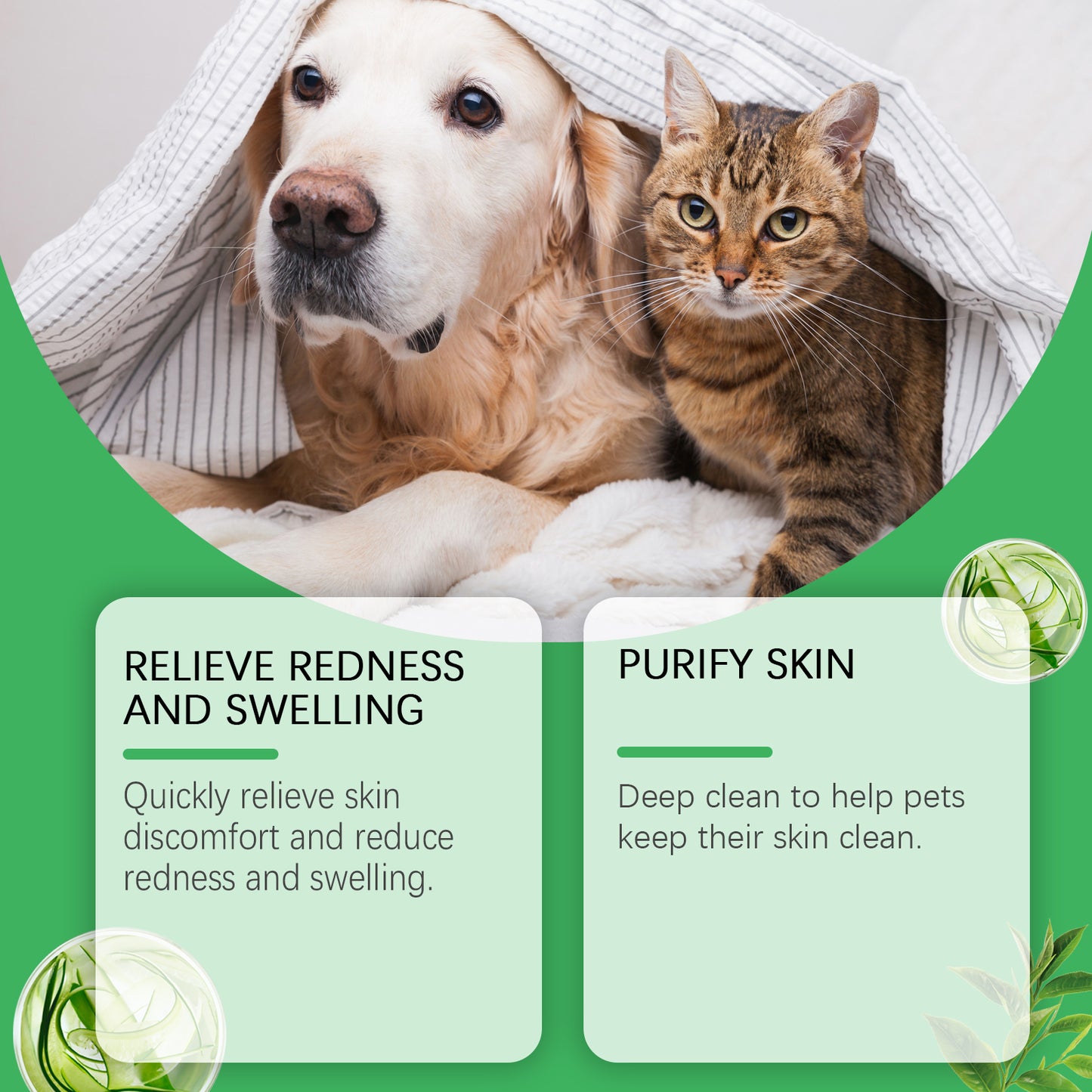 Pet Acne & Bumps Skin Cream for Dogs & Cats - Soothing Skin Relief with Calendula & Ganoderma Extract - Set of 1 Box