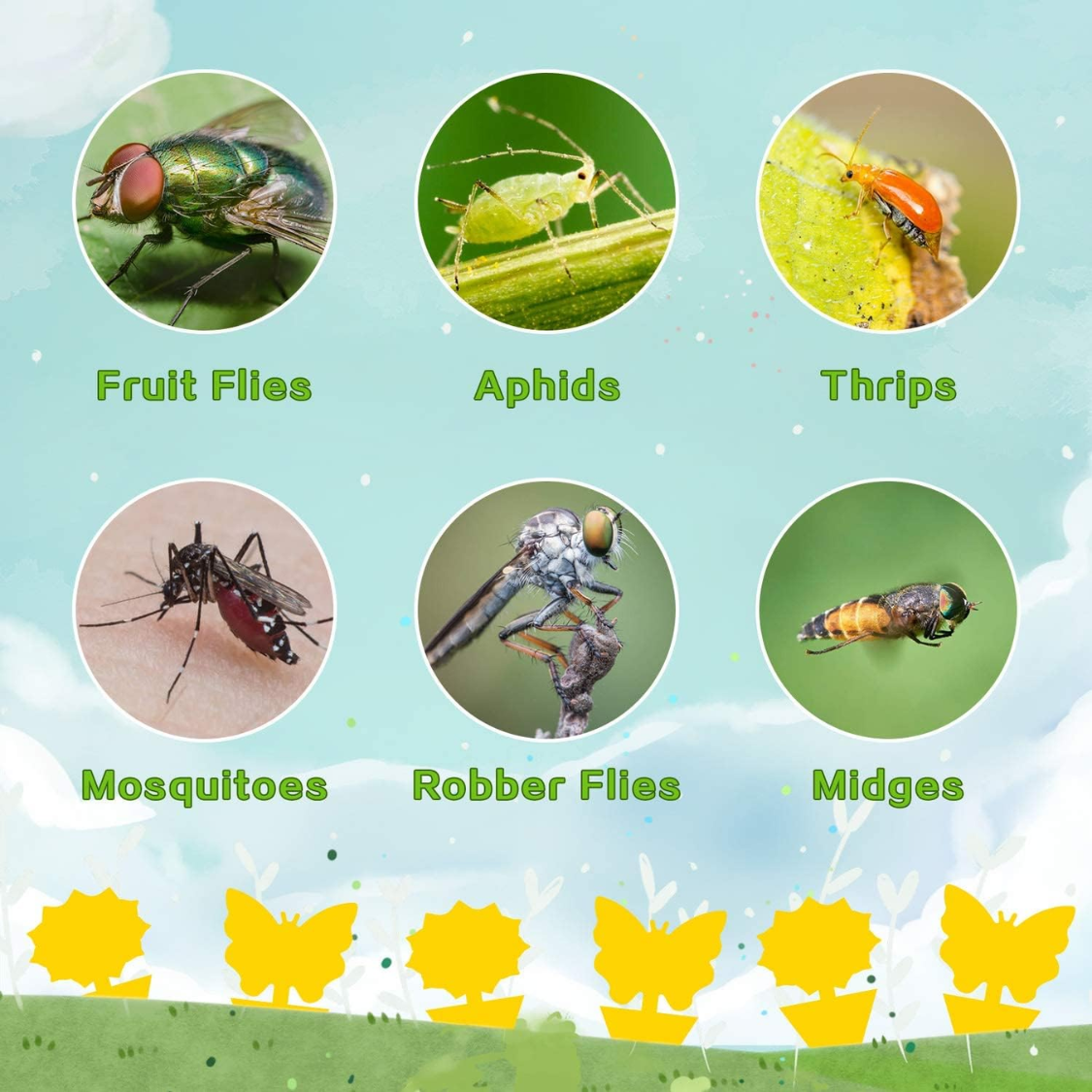 Yellow Sticky Fruit Fly Traps 36 Pack Insect Pest Control for Indoor Outdoor Plants