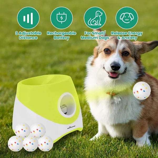Rechargeable Dog Ball Launcher with 3 Adjustable Distances - Interactive Fetch Toy for Small & Medium Dogs - 6 Pcs 2.3in Balls