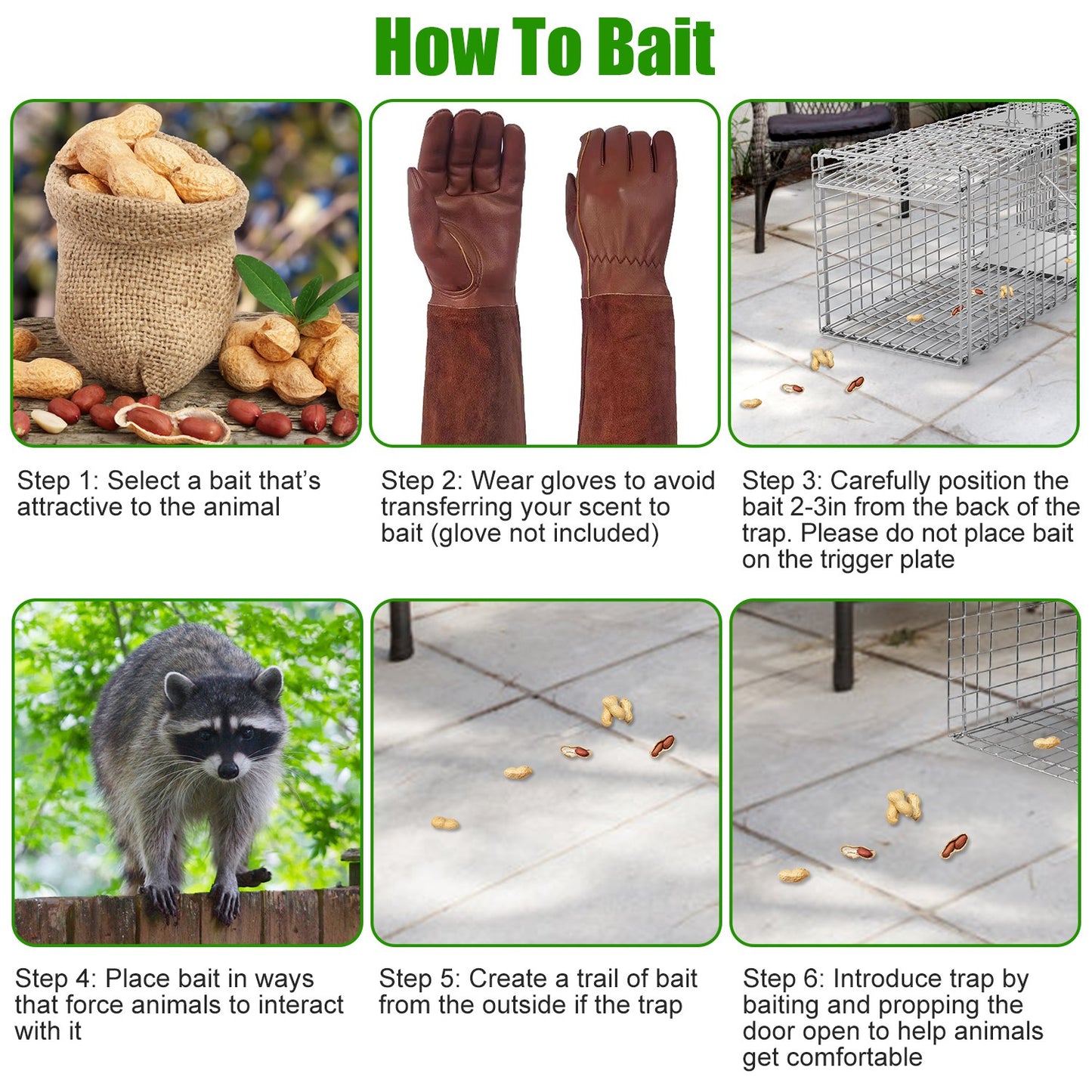 Humane Cat Trap Cage for Raccoons, Beavers & Groundhogs - Collapsible