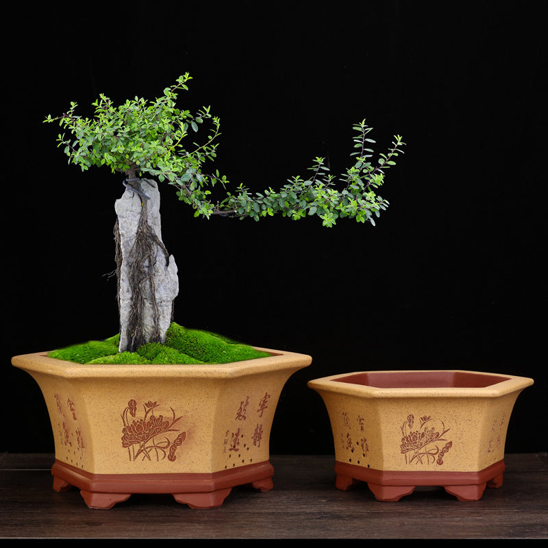 Large Hexagonal Flowerpot for Bonsai and Indoor Gardening - Handmade Ceramic Planter