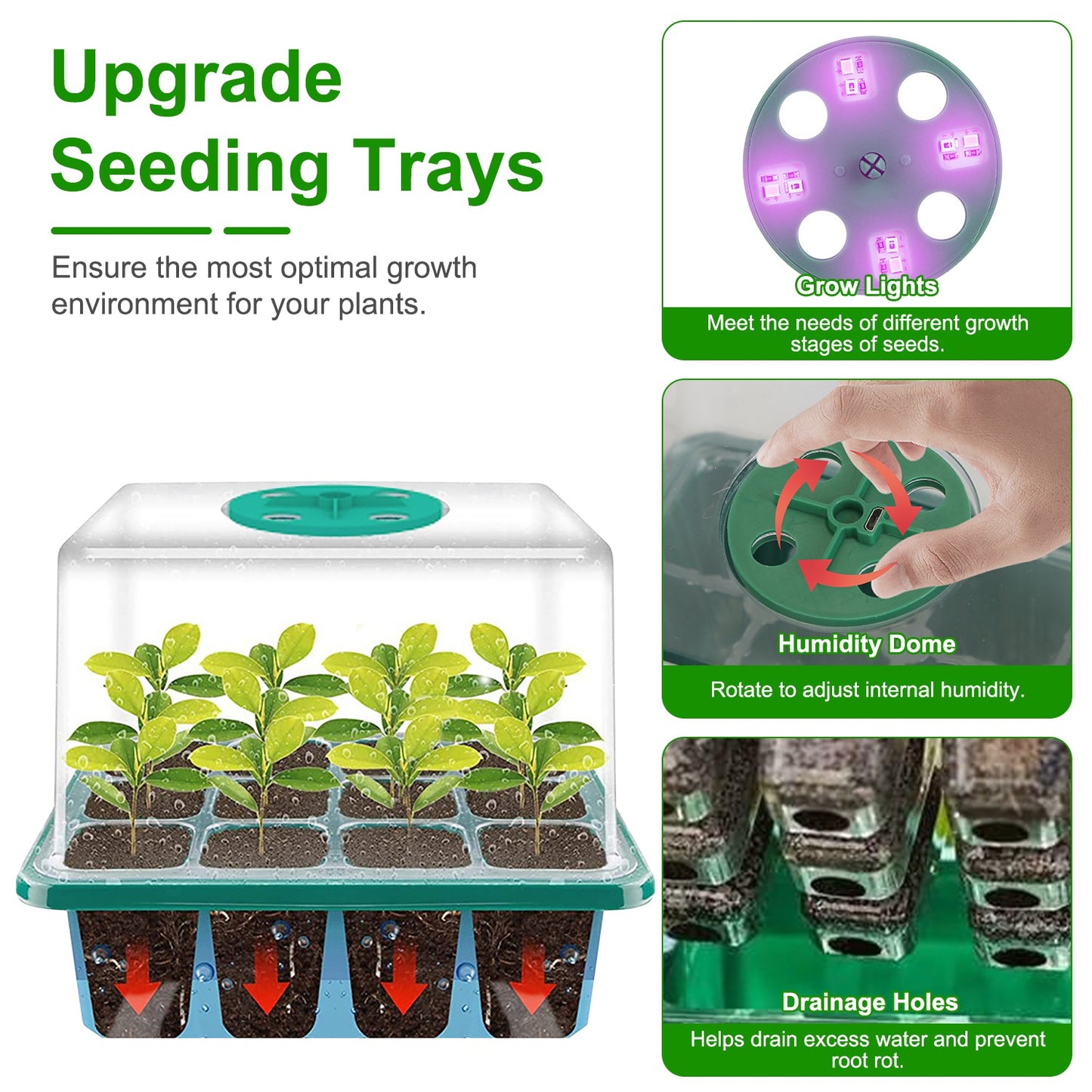 Seed Starter Tray Kit with Grow Lights Humidity Dome for Indoor Gardening