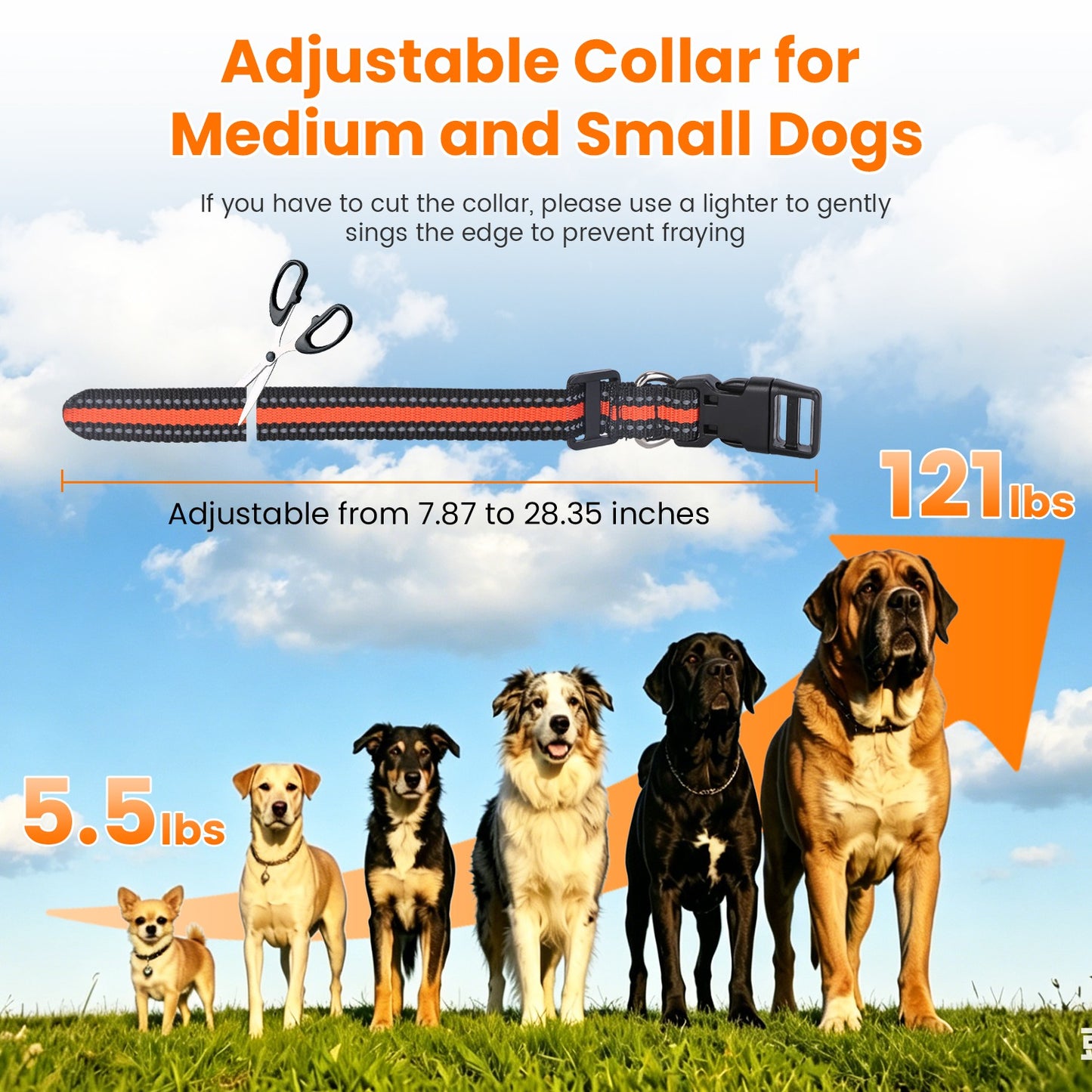 Dog Training Collar with Remote - Waterproof, Long Range, Multi-Mode