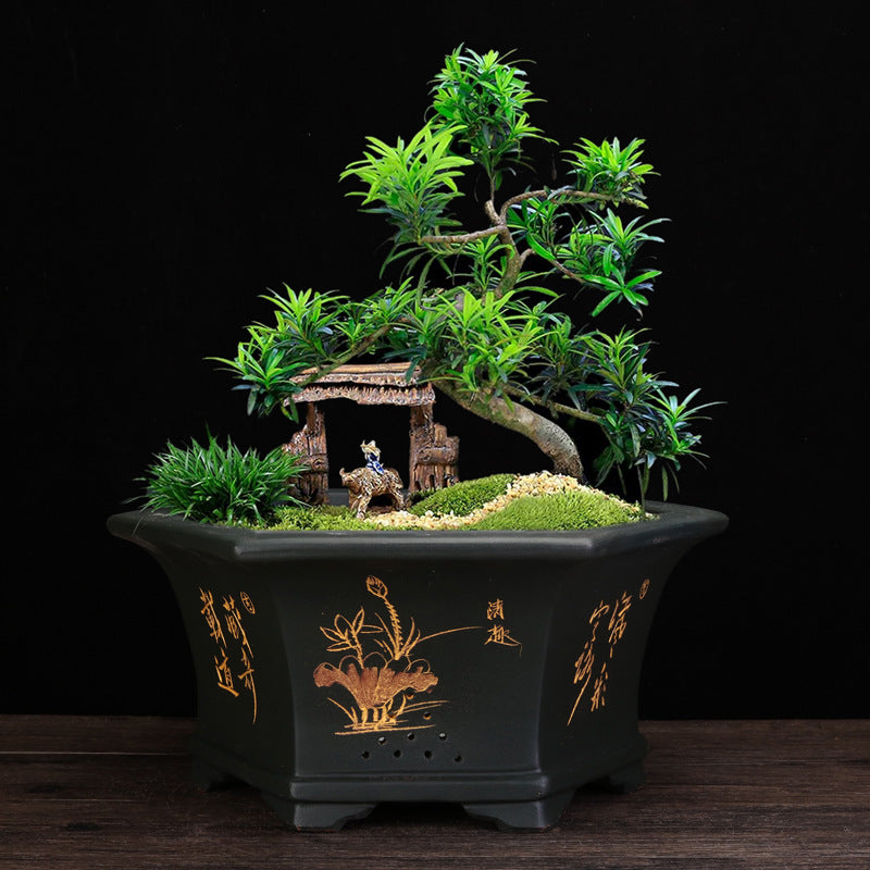 Large Hexagonal Flowerpot for Bonsai and Indoor Gardening - Handmade Ceramic Planter