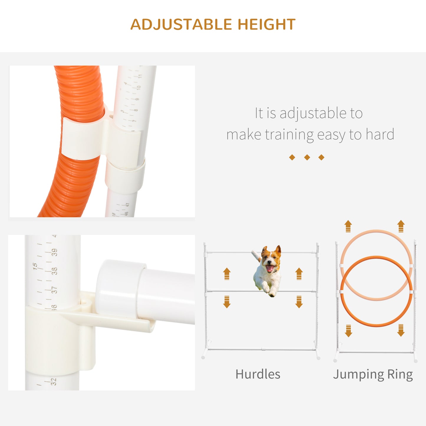 Dog Agility Training Equipment Set with Tunnels, Hurdles, Poles & Ring