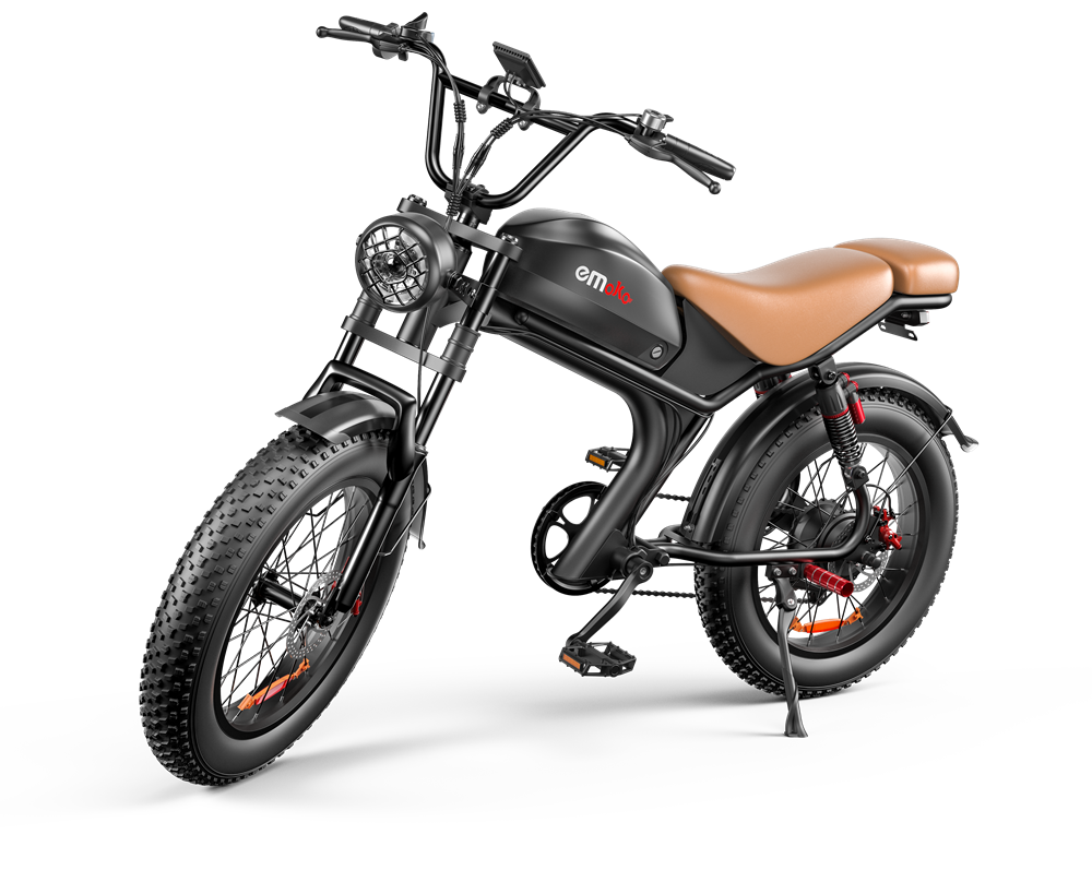 20 Inch Electric Bike - 1000W Motor, 48V Battery, Fat Tires