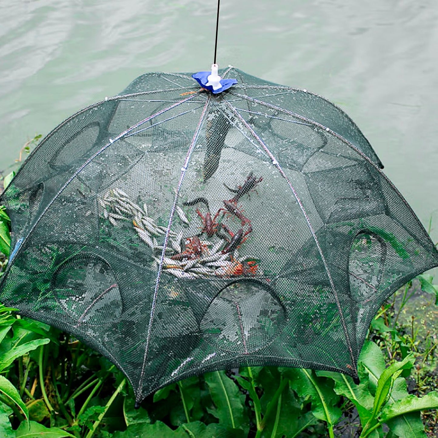 Foldable Fishing Bait Trap - Durable Mesh Crab & Shrimp Net - Green