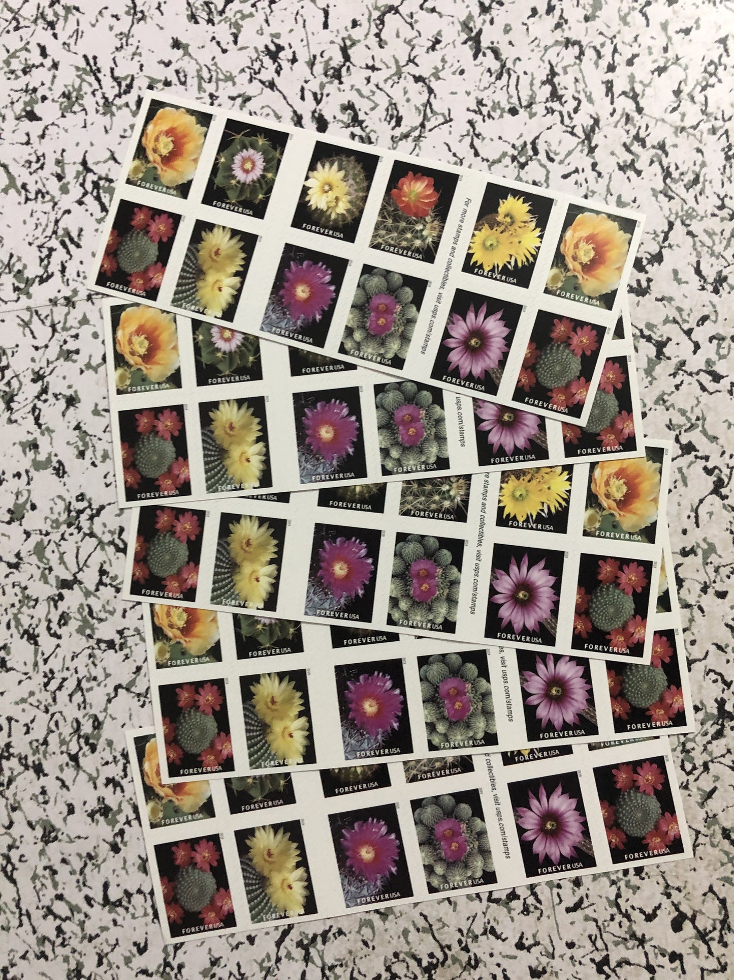 First-Class U.S. Flag Stamps with Cactus Flowers - 100pcs