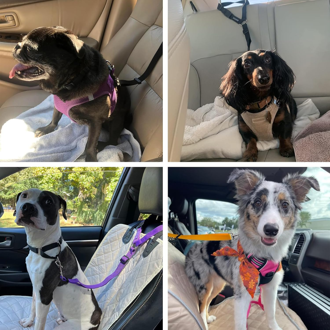 Dog Car Seat Belt Restraint with Adjustable Nylon Tether - Safe Travel Accessory