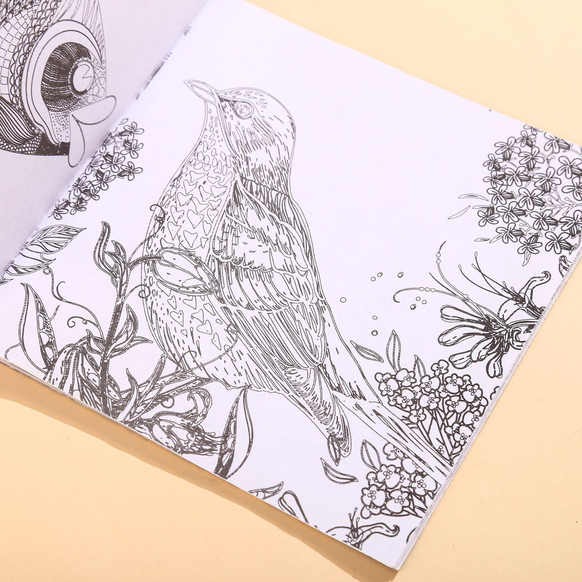 Stress Relief Coloring Book Set - 8 Assorted Sketchbooks 18x18cm