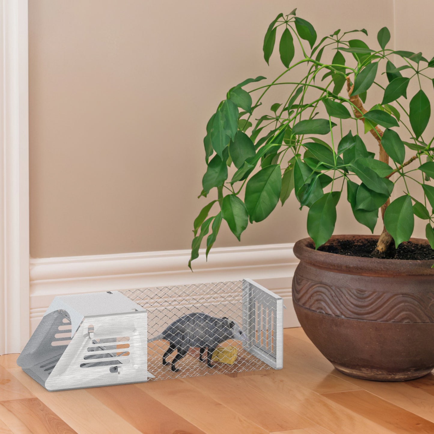 Humane Mouse Trap Cage - 2 Pcs Automatic Catch and Release