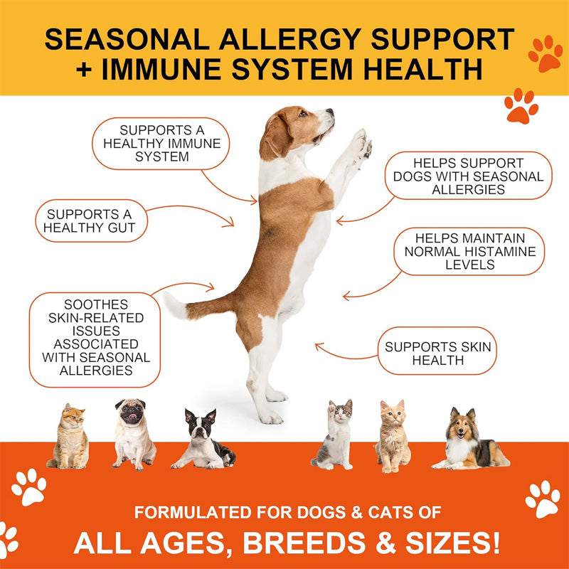 Dog and Cat Joint Supplement with Glucosamine, Chondroitin & MSM - Orange