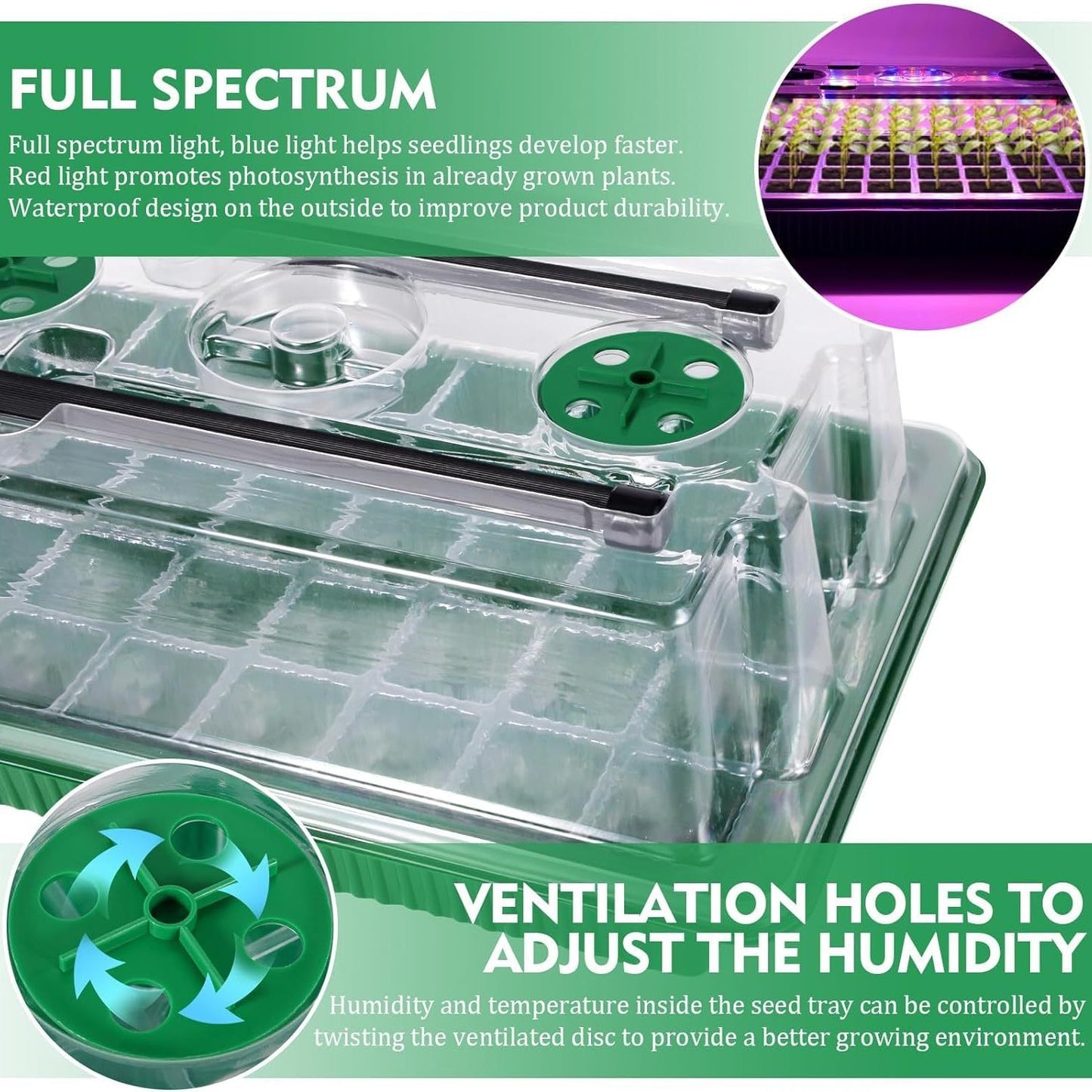 Digital Display Controller for Seedling Growth Scheduling