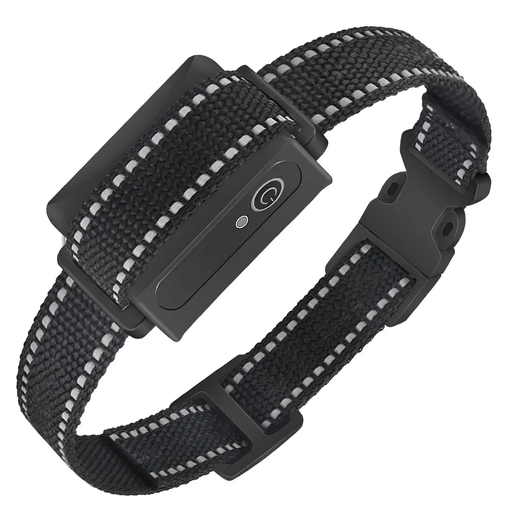 Dog Training Collar Receiver Waterproof Shock Vibration Beep Up To 3280ft