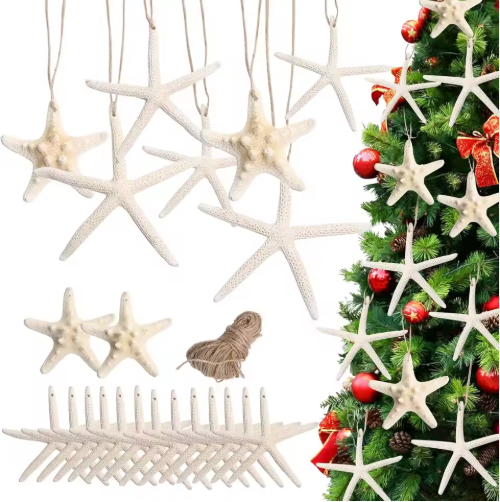 15pcs Hanging Starfish Ornaments - Natural Shell Decor for Christmas