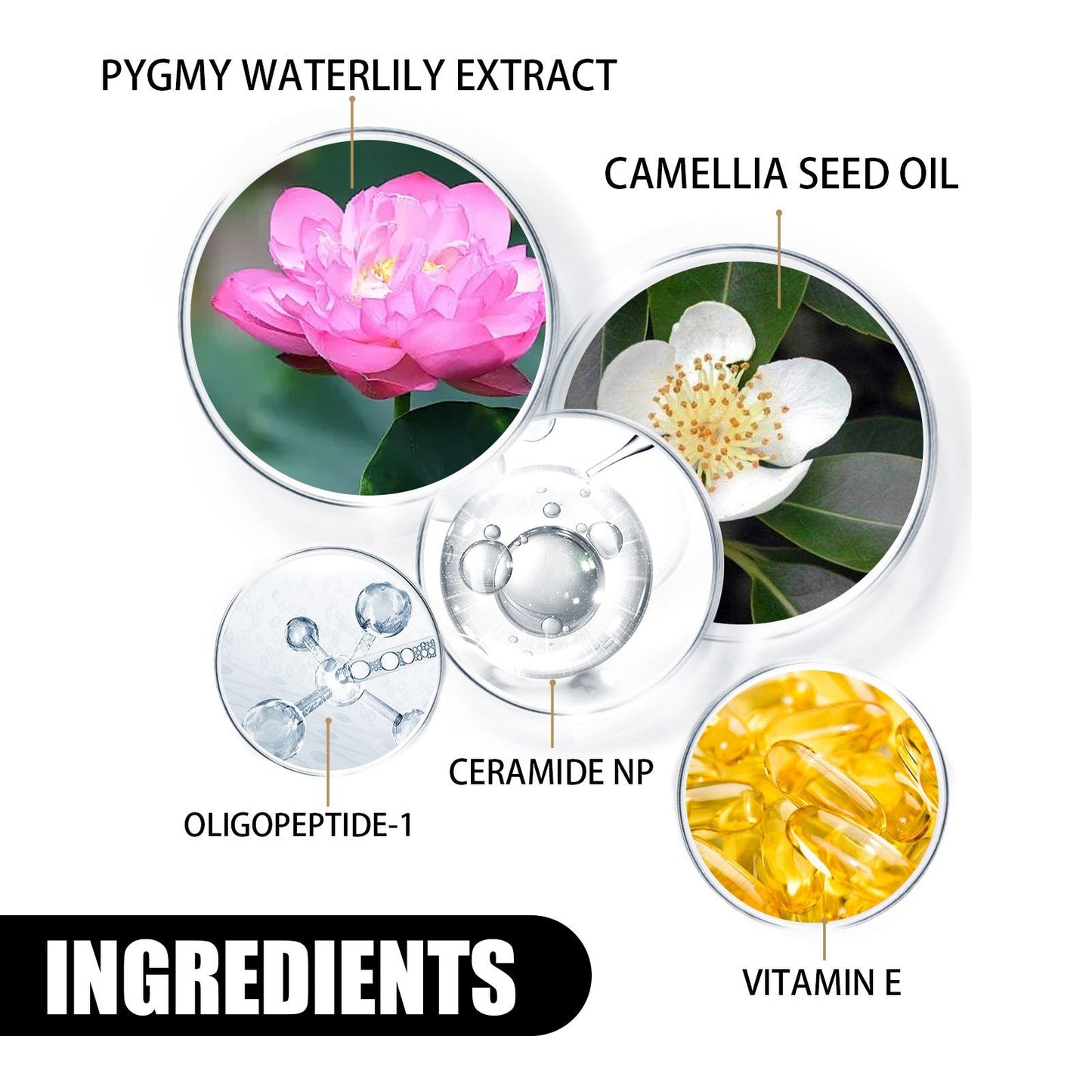 Brightening Moisturizing Facial Cream with Vitamin E and Oligopeptide-1